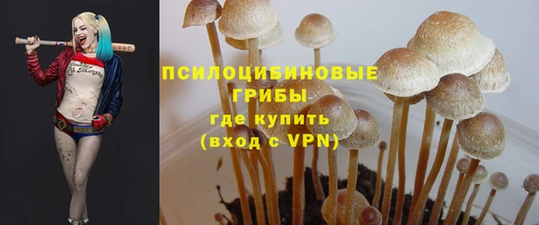 индика Алексеевка