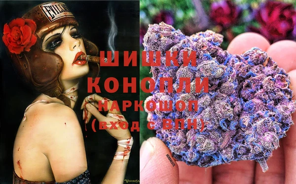 индика Алексеевка