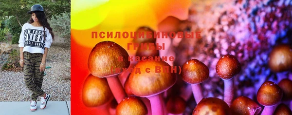 Альфа ПВП Алзамай