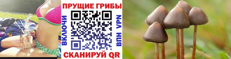 Галлюциногенные грибы MAGIC MUSHROOMS  кракен ТОР  Новочеркасск 