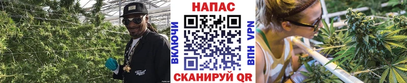 МАРИХУАНА конопля купить наркотики сайты Новочеркасск